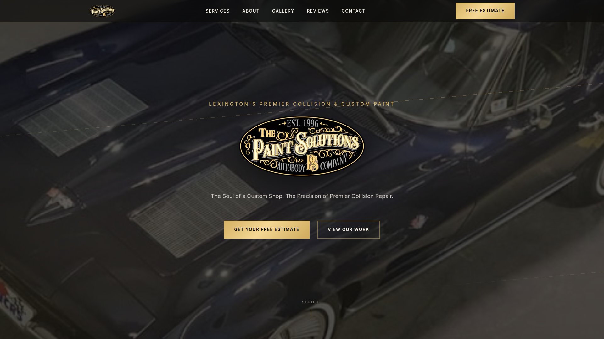 Paint Solutions KY website screenshot